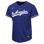 Shohei Ohtani Los Angeles Dodgers Nike Youth Alternate Replica Jersey - Royal