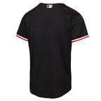 Minnesota Twins Nike Youth Alternate 2 Stadium Jersey - Black