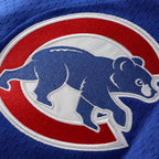 Ryne Sandberg Chicago Cubs Mitchell & Ness Cooperstown Collection 1997 Mesh Batting Practice Button-Up Jersey - Royal