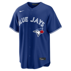 Anthony Santander Toronto Blue Jays Nike Alternate Replica Jersey - Light Blue