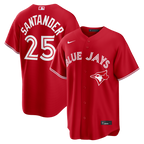 Anthony Santander Toronto Blue Jays Nike Alternate Replica Jersey - Light Blue