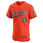 Adley Rutschman Baltimore Orioles Nike Alternate 2 Elite Jersey - Orange