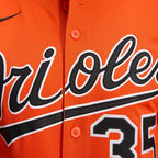 Adley Rutschman Baltimore Orioles Nike 2nd Alternate Limited Player Jersey - Orange