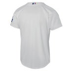 Los Angeles Dodgers Nike Youth Alternate Stadium Jersey - Gray