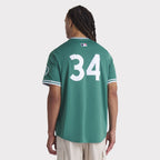 David Ortiz Boston Red Sox Nike 2025 City Connect Limited Retired Player Jersey - Green