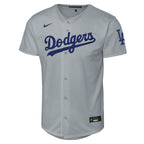 Los Angeles Dodgers Nike Youth Alternate Stadium Jersey - Gray