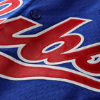 Ryne Sandberg Chicago Cubs Mitchell & Ness Cooperstown Collection 1996 Mesh Batting Practice Button-Up Jersey - Royal