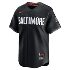 Adley Rutschman Baltimore Orioles Nike City Connect Limited Player Jersey - Black