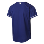Los Angeles Dodgers Nike Youth Alternate Stadium Jersey - Gray