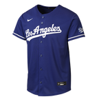 Los Angeles Dodgers Nike Youth Alternate 2 Stadium Jersey - Royal