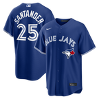 Anthony Santander Toronto Blue Jays Nike Alternate Replica Jersey - Royal