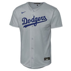 Los Angeles Dodgers Nike Youth Alternate Replica Jersey - Royal