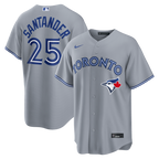 Anthony Santander Toronto Blue Jays Nike Road Replica Jersey - Gray